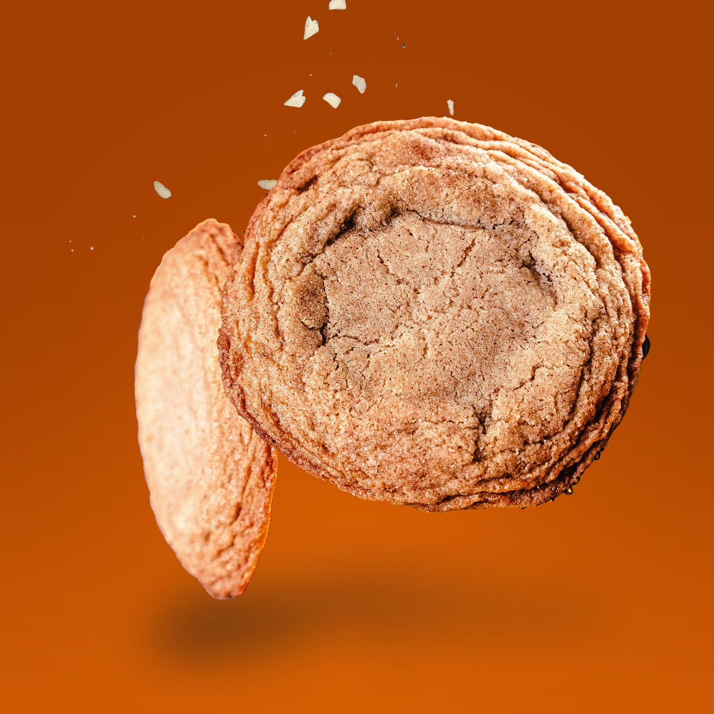 Canela Fusión